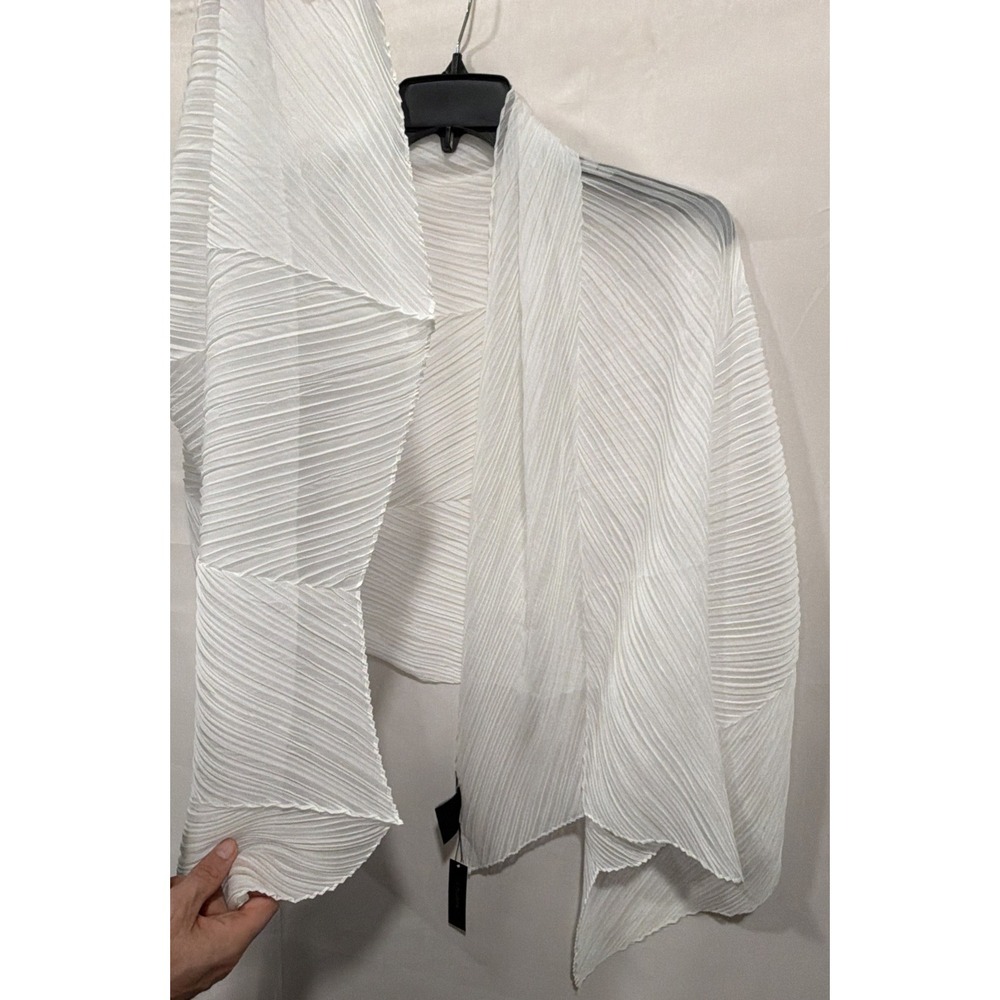 Cèzanne Woman's One Size NWT Ivory Crinkled‎ Sheer Scarf Shawl Wrap - Picture 6 of 7